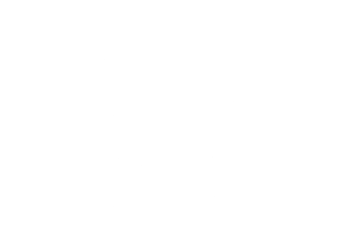 Logo Aliauto